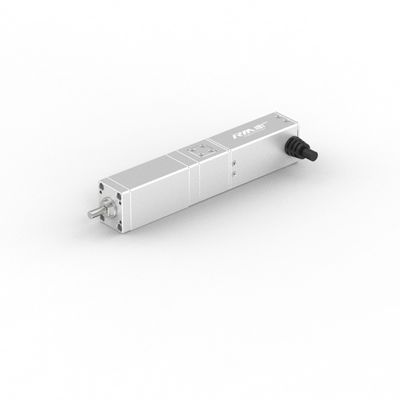 RobustMotion RM-SLA-Serie Hochpräzisionsgeradliniger elektrischer Linearaktator mit Servomotor,50/100mm Schlag, IP40