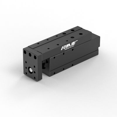 RM-NPLA elektrischer Linearantrieb, Mikroplattform-Linearantrieb, Hochgeschwindigkeit und Stetigkeit