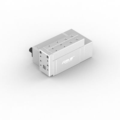 RM-RPLA-Schnellreaktionsgeschwindigkeit Industrieller Linearaktator mit optionalem Schlag