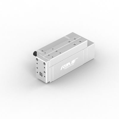 RobustMotion RM-RPLA elektrischer industrieller Linearaktator mit integrierter Steuerung, maximale Kraftleistung 300N